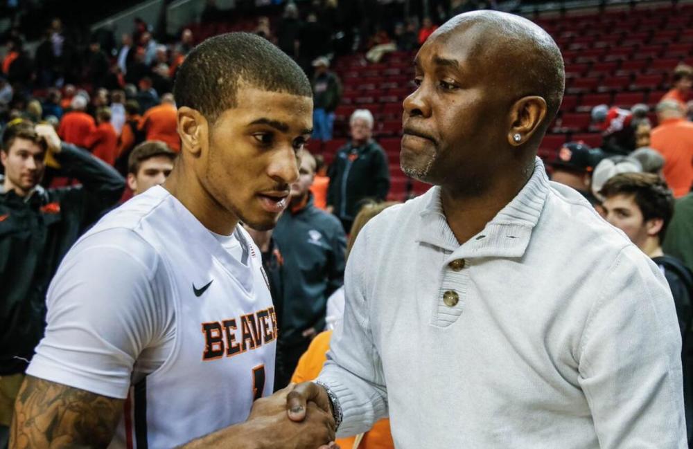 这也体现了 这也体现了